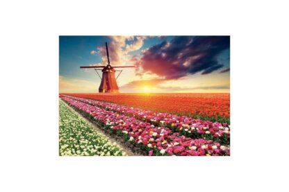 puzzle educa tulips landscape 1500 piese 18465