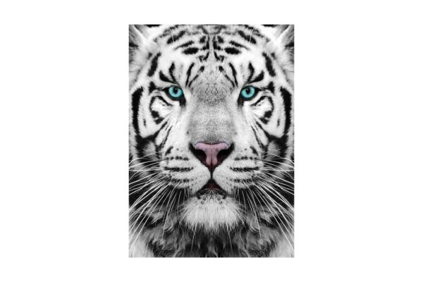 puzzle gold puzzle siberian tiger 1000 piese gold puzzle 61512