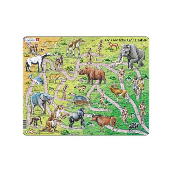Puzzle maxi Drumul de la maimuta la om, orientare tip vedere, 83 de piese, Larsen