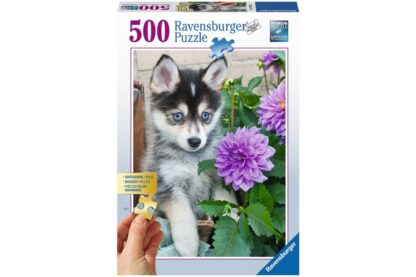 puzzle ravensburger catel husky 500 piese 1