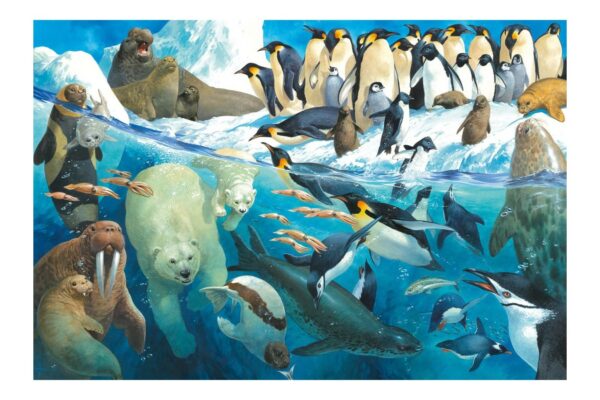 puzzle schmidt animals of the polar regions 100 piese 56295