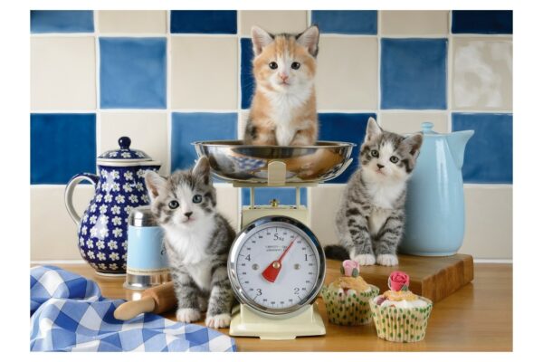 puzzle schmidt cats in the kitchen 500 piese 58370