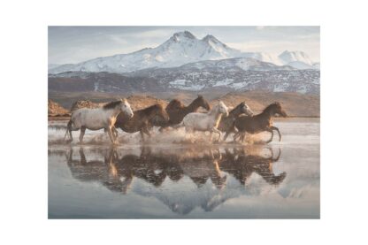 puzzle schmidt horses in cappadocia 1000 piese 58376