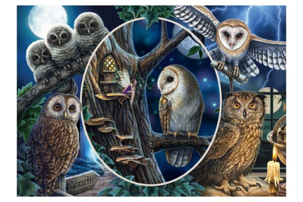 puzzle schmidt lisa parker mysterious owls 1000 piese 59667