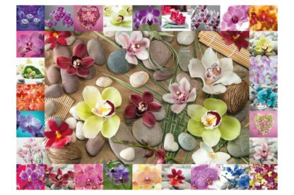 puzzle schmidt orchids 1000 piese 59632