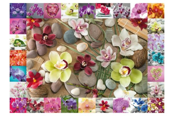 puzzle schmidt orchids 1000 piese 59632