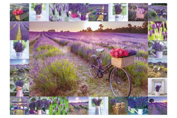 puzzle schmidt the scent of lavender 1000 piese 59634