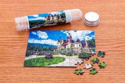 puzzle tinypuzzle castelul castelul peles 99 piese 1001 1