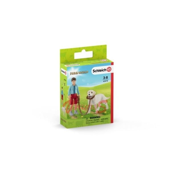Plimbare cu Labrador retriever - imagine 2