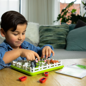 Smart Farmer - Joc de logica, Smart Games